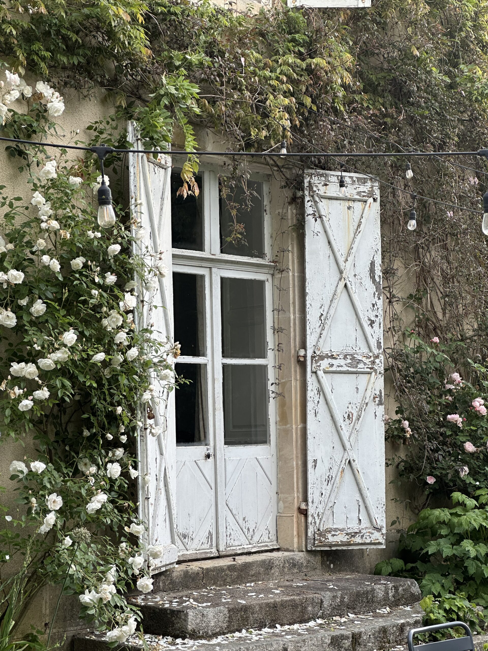 Flowers and shutters