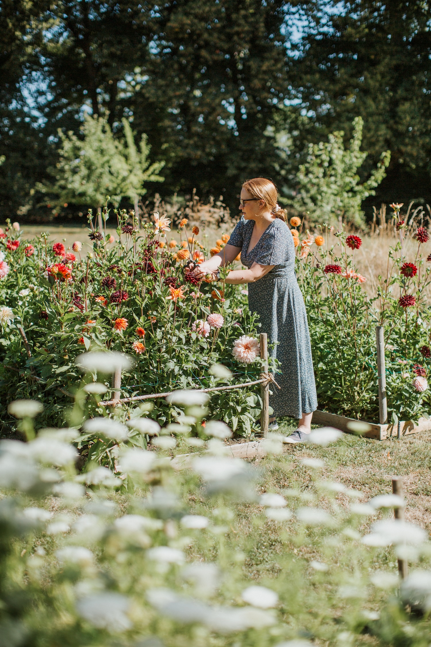The cutting garden at Château de la ruche